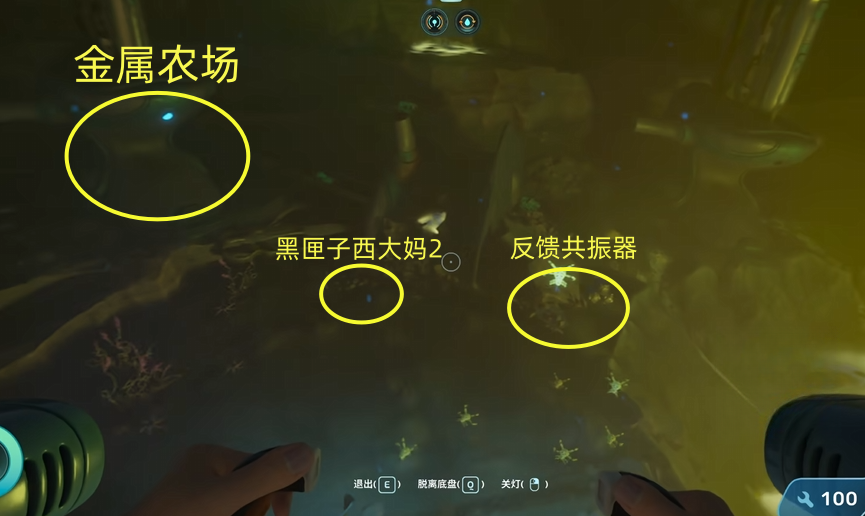 guide image