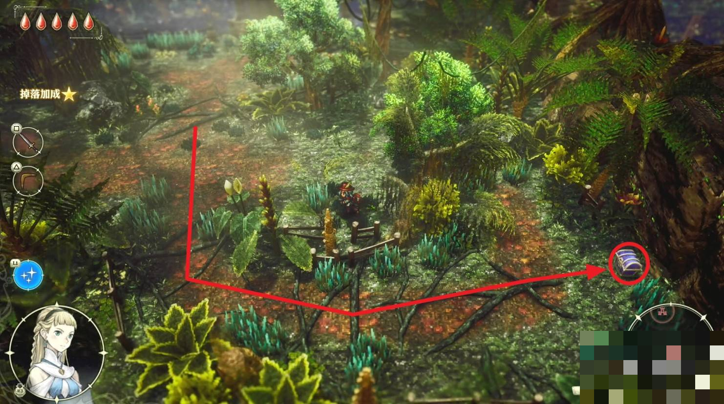guide image