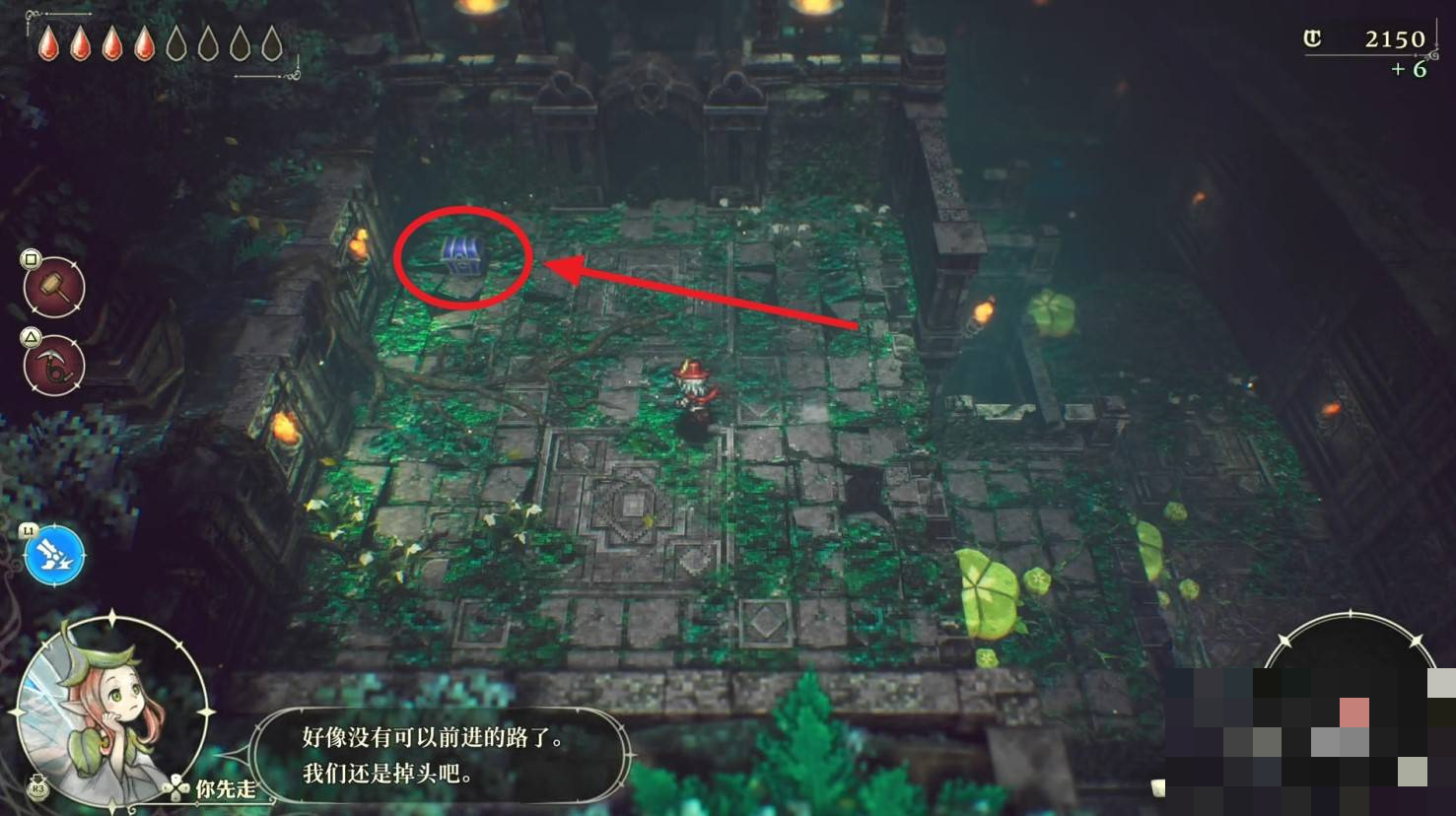 guide image