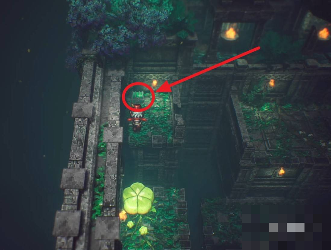 guide image