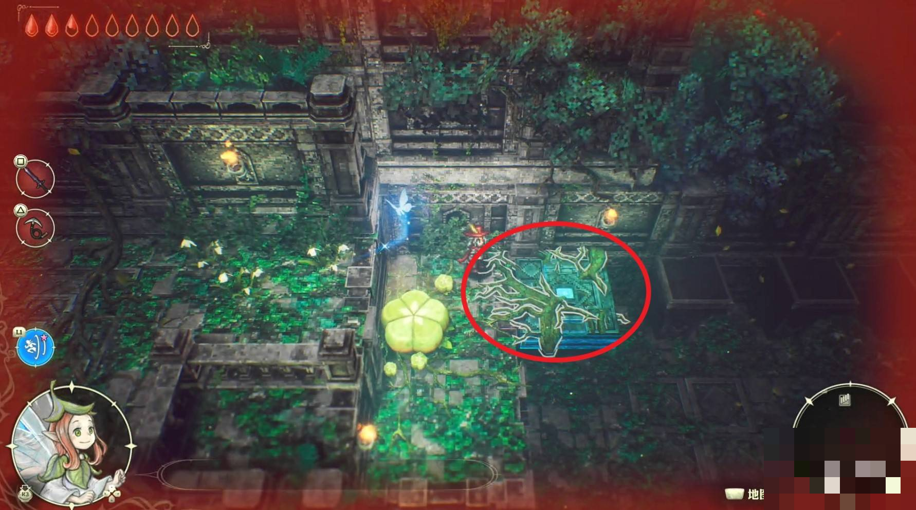 guide image
