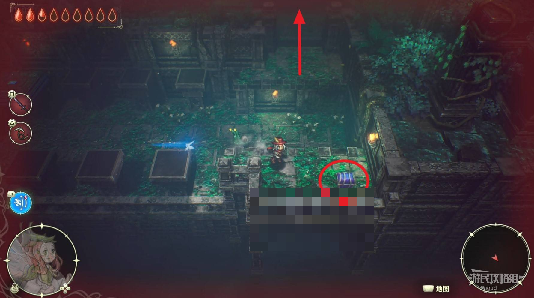 guide image